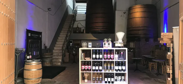 Interior del Celler Mas de la Creu a l'Espluga de Francolí amb foudres de fusta originals de 1860